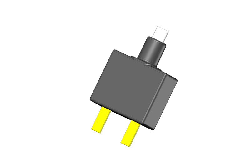 Disjoncteur 10A Electroliv