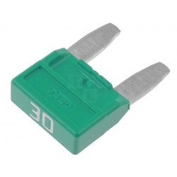 Fusible 30A 12V Electroliv